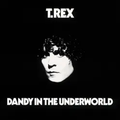 Dandy In the Underworld (Bonus Track Version) - T. Rex