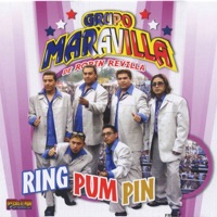 Ring Pum Pin - Grupo Maravilla De Robin Revilla