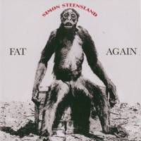 Simon Steensland - Hide & Seek