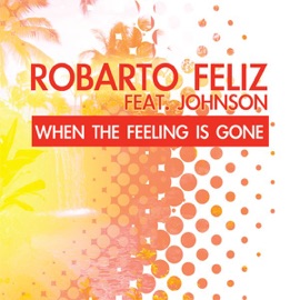 When the Feeling Is Gone (feat. Johnson) [Extended Version] Robarto Feliz & Johnson