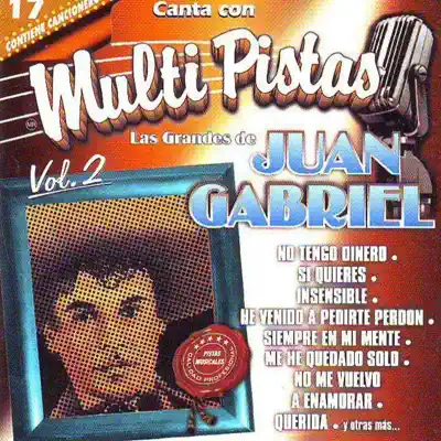 Ascolta 'Las Grandes de Juan Gabriel, Vol. 2 - Con Acompanamiento Orquestal' di Grupo Magia