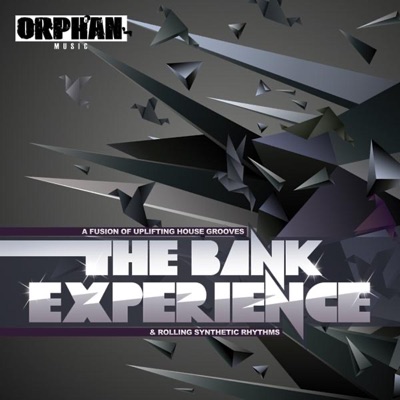 The Bank Experience