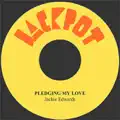 Pledging My Love