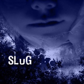 Like a Friend Slug