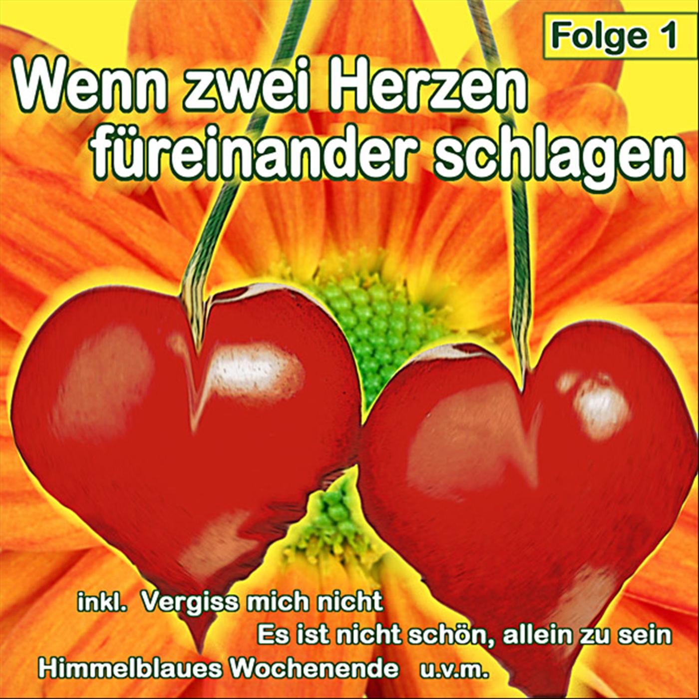 Wenn Zwei Herzen Füreinander Schlagen, Folge 1