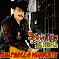 Culpable O Inocente - El Halcon de la Sierra