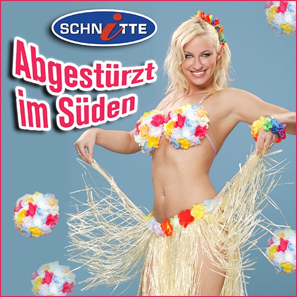 Abgestürzt im Süden - Single