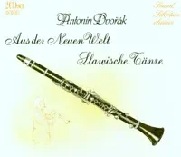 Sinfonie Nr. 4, D-Moll, Op. 13: II. Andante Sostenuto e Molto Cantabile — Westboehmisches Staatsorchester & Stanislav Bogunia