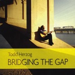 Bridging the Gap