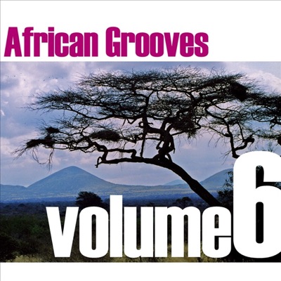 African Grooves, Vol. 6