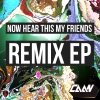Now Hear This My Friends (Dynamikk Remix)
