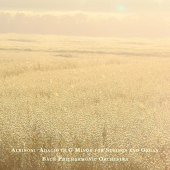 Adagio In G Minor For Strings And Organ