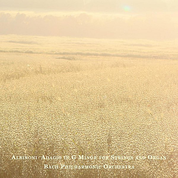 Albinoni: Adagio in G minor for Strings and Organ - Single – Album par Bach  Philharmonic Orchestra – Apple Music