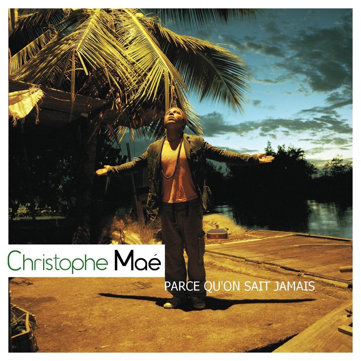 Cristophe mae песни. Кристоф Маэ. Кристоф (певец) альбомы. Christophe Maé обложка альбома. Кристоф Маэ обложка альбома mon Paradise.