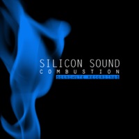 Combustion - Single - Silicon Sound