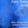Birds Sound - Baby Sleep Song