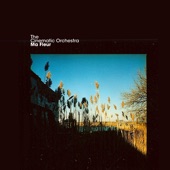 The Cinematic Orchestra - Ma Fleur