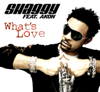 What's Love - Shaggy