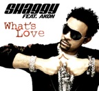 What's Love