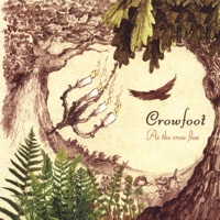 As the Crow Flies by Crowfoot on Apple Music