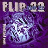 Flip 22 - Images