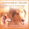 Relaxation Music for You and Your Dog, 2008