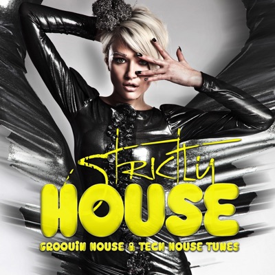 Strictly House - Groovin House & Tech House Tunes, Vol. 4
