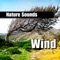 Shivering Gusts of Wind - Efx - Nature Sounds lyrics