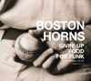 BOSTON HORNS