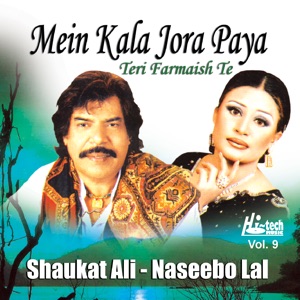 Mein Kala Jora Paya Teri Farmaish Te