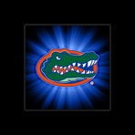 Fightin' Gator Marching Band