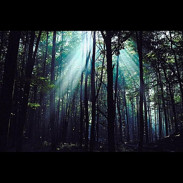 Обложка альбома «Evening (Original Recording) - Single» — David Lorenz