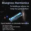 Blackberry Blossom (feat. Pat Cloud)
