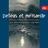 Pelléas et Mélisande : II. Mélisande