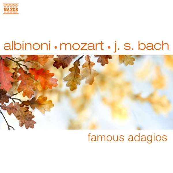 Concerto for Oboe and Violin On C Minor, BWV 1060: II. Adagio