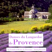 Cover art for Danses de Provence et du Languedoc by Grand orchestre de Provence