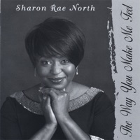 The Way You Make Me Feel - Sharon Rae North