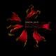 Red Herring 2011 Remixes EP