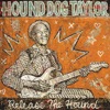 Hound Dog Taylor