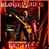Slowburner - More Than I Can Say