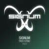 Signum - First Strike 2010 (Sebastian Brandt Remix)