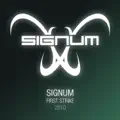First Strike 2010 (Sebastian Brandt Remix)