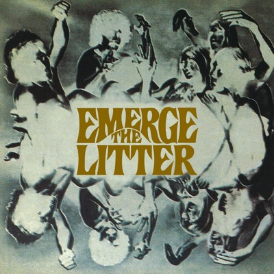 The Litter