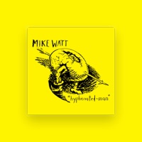 Mike Watt