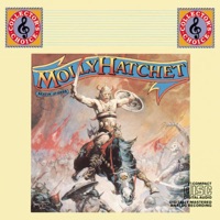 Molly Hatchet - The Rambler