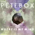 Where is my mind?