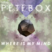 Where Is My Mind — THePETEBOX