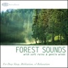 Rest & Relax Nature Sounds Artists - Forest Sounds