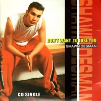 Don't Want to Lose You - Shawn Desman