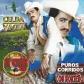 EL GALLO DE SINALOA